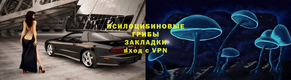 гидра Алзамай
