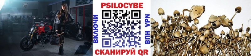 Купить где  Волгоград  Псилоцибиновые грибы прущие грибы 